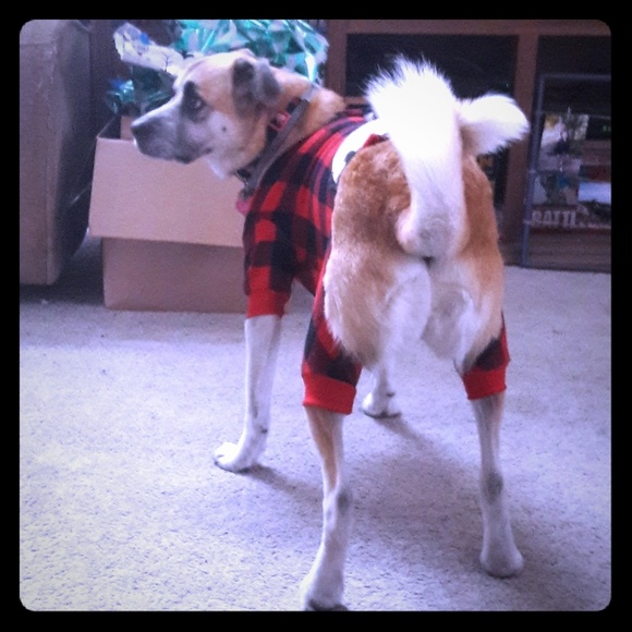 lazy one Other - Dog Pajamas!!! lazy one Other - Dog Pajamas!!!